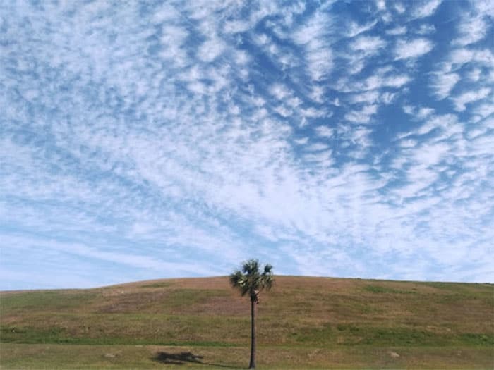 Volusia Landfill