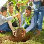 Planting trees